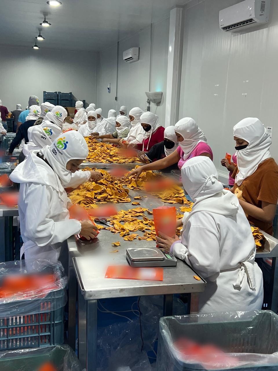 Empaque de mango